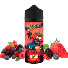 raid movie