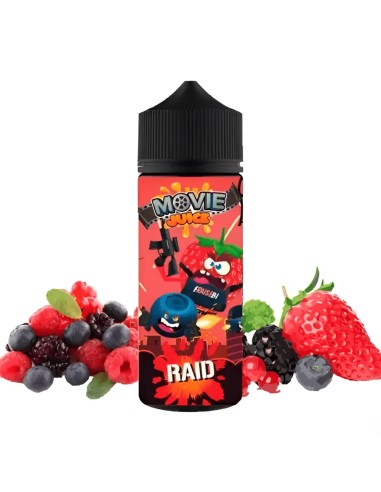 raid movie