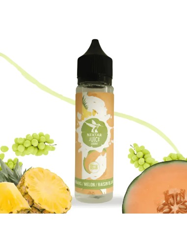 ANANAS MELON RAISIN BLANC NEKTAR JUICE