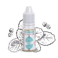 Menthe givrée Sel De Nicotine No Smoking Club