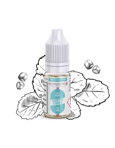 Menthe givrée Sel De Nicotine No Smoking Club