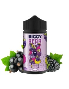 Cassis Mure BIGGY BEAR